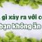 Điều gì xảy ra với cơ thể nếu bạn không ăn rau?