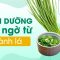 Dinh dưỡng bất ngờ từ hành lá