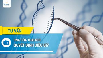 DNA của thai nhi quyết định điều gì?