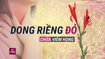 Dong riềng đỏ có tính kháng khuẩn mạnh, chữa cổ họng sưng viêm và tốt cho tim mạch | VTC Now