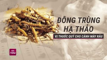 Đông trùng hạ thảo có tác dụng đặc biệt như thế nào với đấng mày râu? | VTC Now