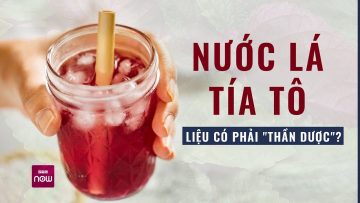 Đun nước lá tía tô thay thay nước uống hàng ngày: Tốt hay không tốt? | VTC Now