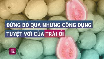 Đừng bỏ qua những công dụng kỳ diệu của trái ổi | VTC Now