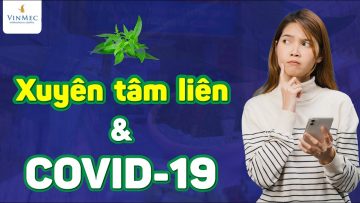 Dùng xuyên tâm liên để điều trị, phòng COVID: Sai hay đúng?