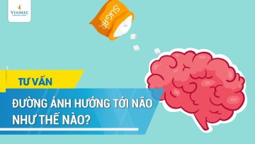 Đường ảnh hưởng tới não chúng ta như thế nào?