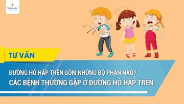 Đường hô hấp trên gồm những bộ phận nào? Các bệnh thường gặp ở đường hô hấp trên