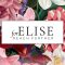 ELISE BRAND STORY