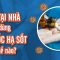 F0 COVID điều trị tại nhà dùng thuốc hạ sốt paracetamol thế nào cho an toàn?