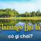 Flamingo Đại Lải Resort Vĩnh Phúc ở đâu, có gì chơi? | Bạch Hoàng Travel