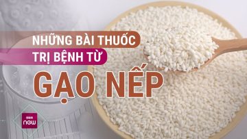 Gạo nếp không chỉ để đồ xôi, làm bánh, nấu chè mà còn dùng để… chữa bệnh | VTC Now