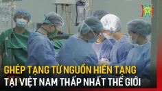 Ghép tạng từ nguồn hiến tạng tại Việt Nam thấp nhất thế giới | Tin tức