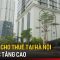 Giá nhà cho thuê tại Hà Nội tiếp tục tăng cao | Tin tức