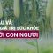 Giá trị bất ngờ đối với sức khỏe của quả bầu có thể nhiều người chưa biết | VTC Now