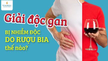 Giải độc gan bị nhiễm độc do rượu bia thế nào?