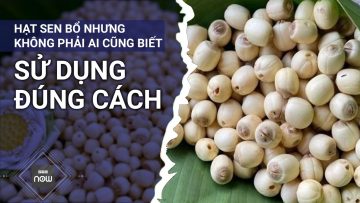 Hạt sen bổ nhưng không phải ai cũng biết dùng đúng cách | VTC Now