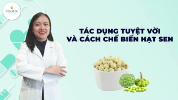 Hạt sen có tác dụng gì?