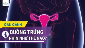 Hình ảnh buồng trứng trong cơ thể người