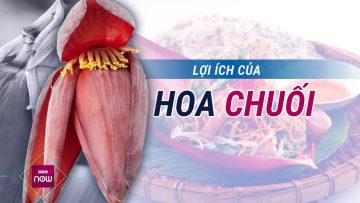 Hoa chuối: Không những là món ăn dân dã ngon miệng mà còn là thang thuốc bổ tuyệt vời | VTC Now