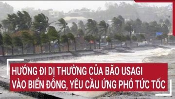 Hướng đi dị thường của bão Usagi vào Biển Đông, yêu cầu ứng phó tức tốc