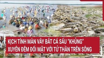 Kịch tính màn vây bắt cá sấu “khủng” xuyên đêm đối mặt với Tử thần trên sông ở Long An