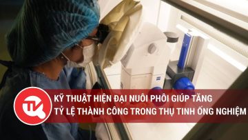 Kỹ thuật hiện đại nuôi phôi giúp tăng tỷ lệ thành công trong thụ tinh ống nghiệm