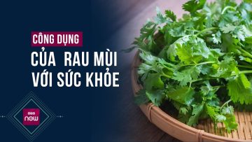 Liệu bạn đã biết hết công dụng tuyệt vời của rau mùi với sức khỏe chưa? | VTC Now