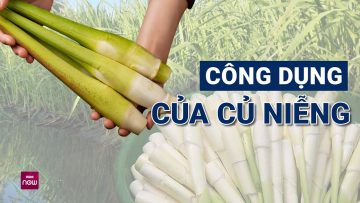 Loại củ dân dã, mọc tự nhiên quanh ao hồ, cực tốt cho người bệnh huyết áp, mỡ máu | VTC Now