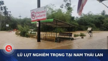 Lũ lụt nghiêm trọng tại nam Thái Lan | Truyền hình Quốc hội Việt Nam