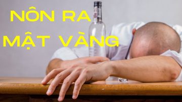 Lý do bạn nôn ra mật vàng khi say rượu