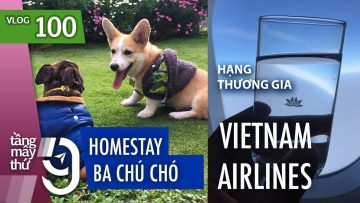 [M9] #100: Homestay Đà Lạt dễ thương/Hạng thương gia Vietnam Airlines | Yêu Máy Bay