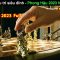 Màn Đấu Trí Đỉnh Cao giữa các Tài Phiệt – review phim Phong Hậu 2023 FULL 11 tập