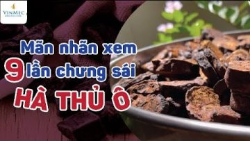 Mãn nhãn xem quá trình 9 lần chưng – 9 lần phơi vị thuốc Hà Thủ Ô