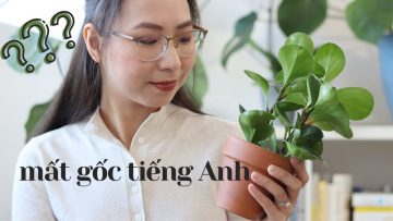 MẤT GỐC TIẾNG ANH nên bắt đầu từ đâu? // Phương pháp học tiếng Anh hiệu quả cho người mất gốc