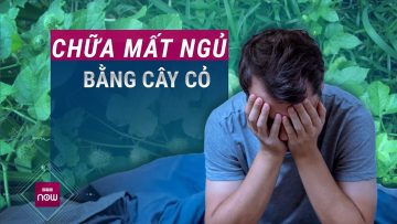 Mất ngủ kinh niên: Đừng vội dùng thuốc, hãy thử giải pháp tự nhiên bằng cây cỏ quanh nhà | VTC Now