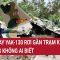 Máy bay Yak-130 rơi gần trạm Kiểm Lâm nhưng không ai biết