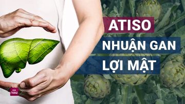 Mỡ máu, tiểu đường, gan nhiễm mỡ bốc hơi hoàn toàn nhờ Atiso, lá vối, lá ổi? | VTC Now