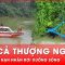 Mở rộng lên thượng nguồn tìm kiếm 2 nạn nhân vụ xe thu gom rác rơi xuống sông | Thời sự