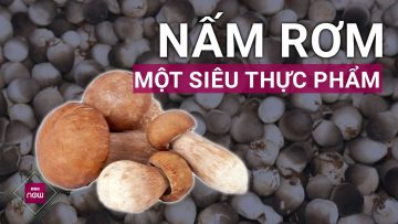 Nấm rơm: Siêu thực phẩm giúp ngon miệng và bồi bổ sức khỏe | VTC Now