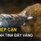 Nasa TIẾP CẬN Tiểu Hành Tinh Chứa Đầy Vàng Trị Giá 10 Tỷ Tỷ USD | Thiên Hà TV