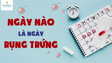 Ngày rụng trứng của phụ nữ là ngày nào?