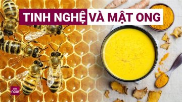 Nghệ và mật ong: Cặp đôi hoàn hảo cho sức khỏe tiêu hóa | VTC Now