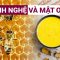Nghệ và mật ong: Cặp đôi hoàn hảo cho sức khỏe tiêu hóa | VTC Now