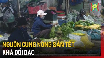 Nguồn cung nông sản Tết khá dồi dào | Tin tức