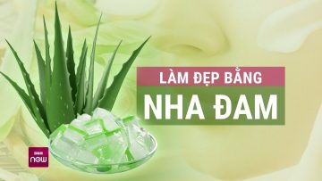 Nha đam: Loại cây lành tính, giúp sát khuẩn và là thuốc đặc hiệu cho làn da | VTC Now