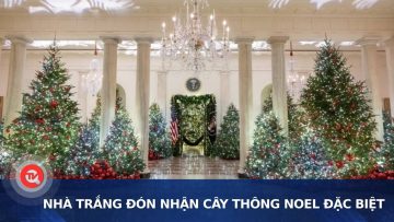 Nhà Trắng đón nhận cây thông Noel đặc biệt | Truyền hình Quốc hội Việt Nam