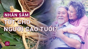 Nhân sâm: Thuốc quý nhưng cũng là con dao hai lưỡi nếu dùng không đúng cách, nhất là người cao tuổi