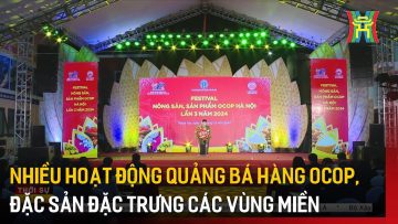 Nhiều hoạt động quảng bá hàng OCOP, đặc sản đặc trưng các vùng miền trên cả nước | Tin tức