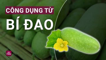 Những công dụng không ngờ của quả bí đao: Bật mí từ lời khuyên của chuyên gia | VTC Now