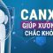 Những lợi ích đặc biệt của canxi, bí quyết bổ sung canxi tự nhiên hiệu quả | VTC Now