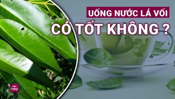 Nước lá vối: Thần dược chữa bách bệnh hay sát thủ thầm lặng? | VTC Now